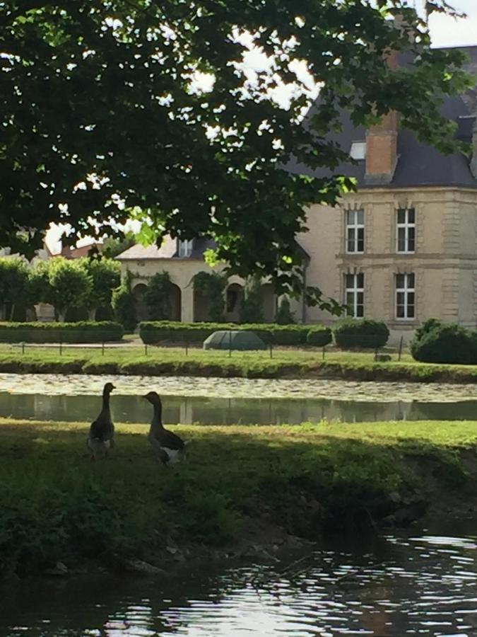Chateau De Vitry-La-Ville Bagian luar foto