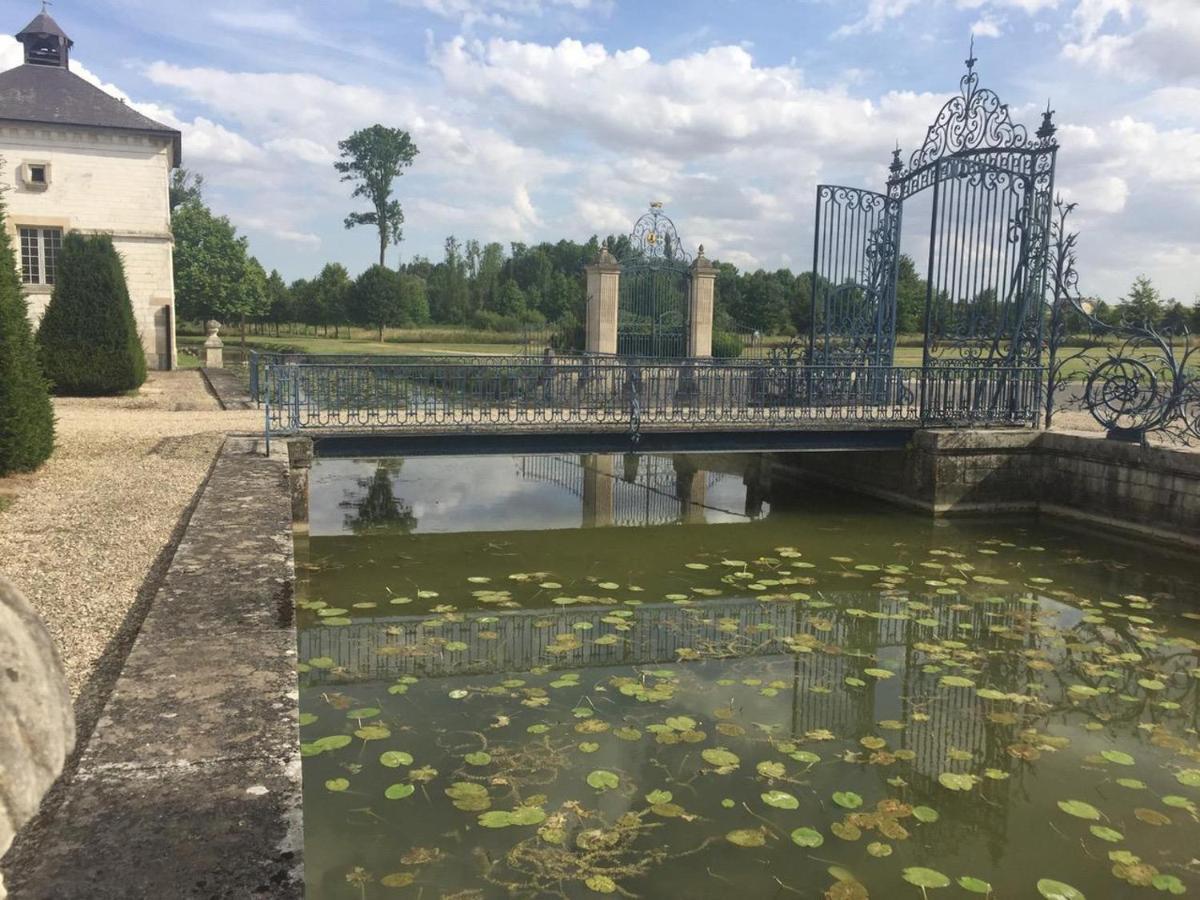 Chateau De Vitry-La-Ville Bagian luar foto