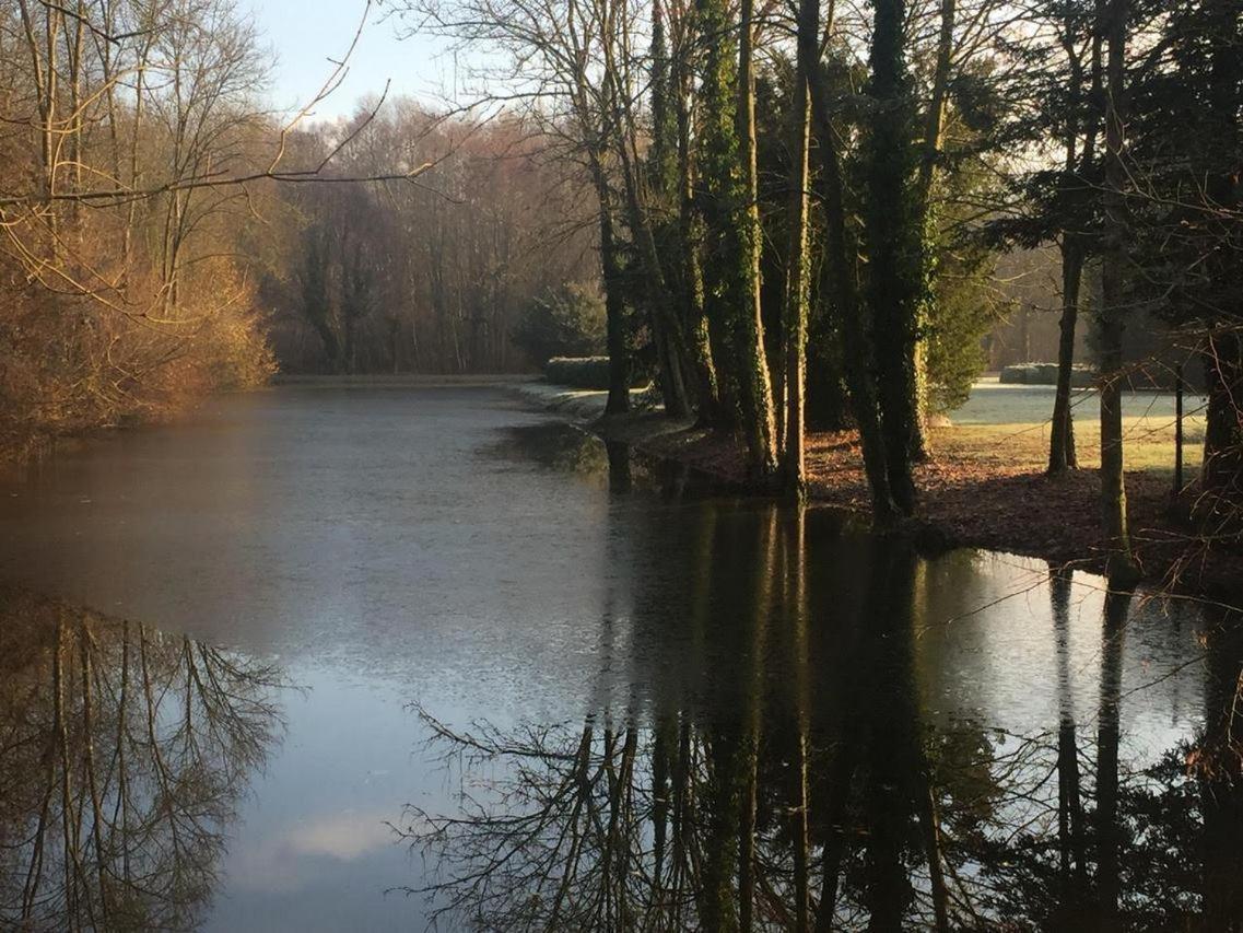 Chateau De Vitry-La-Ville Bagian luar foto